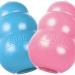 Kong toys are great for dogs who like to chew.