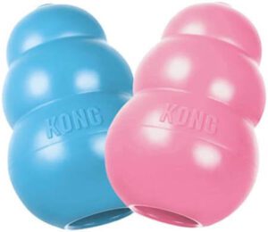 Kong toys are great for dogs who like to chew.